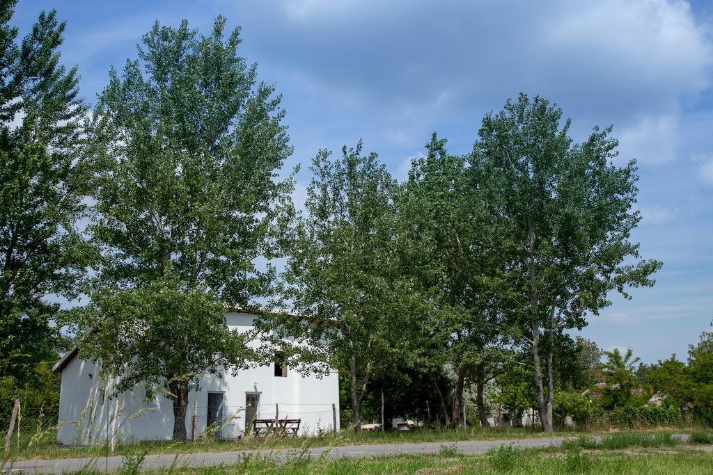 Casa Bella & Nova Hotel Palić Buitenkant foto
